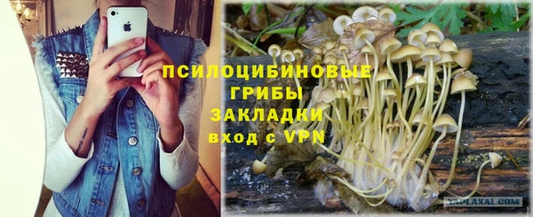 spice Волосово