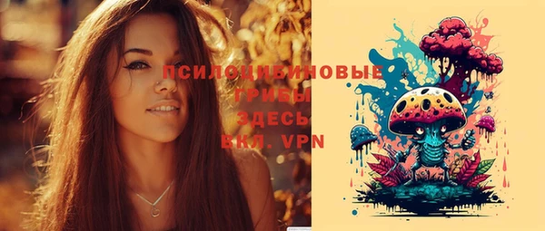 spice Волосово
