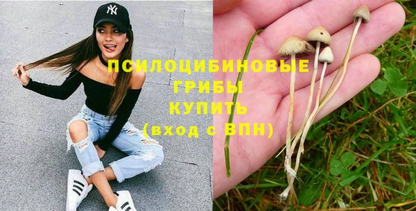 spice Волосово
