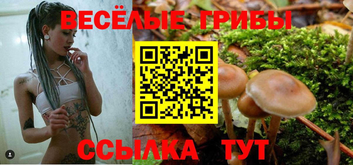 Псилоцибиновые грибы Magic Shrooms  Вход с VPN  Галлюциногенные грибы мицелий  Можга 